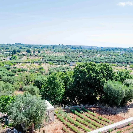 Moderno Mediterraneo